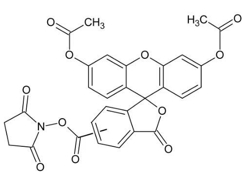 CAS:150347-59-4|Ester N-sukcynimidylowy 5(6)-CFDA