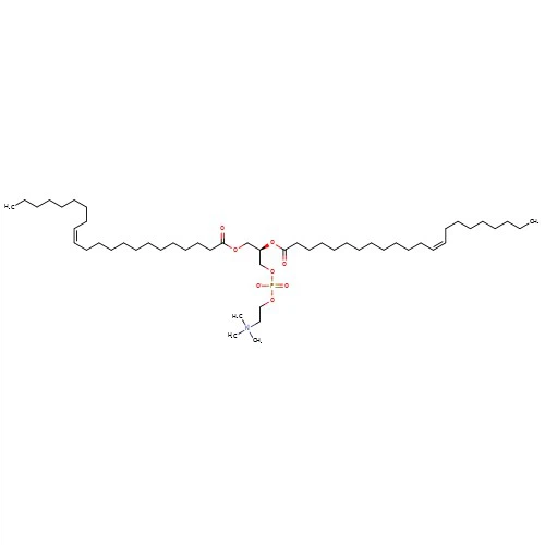 CAS:51779-95-4|1,2-dierukoilo-sn-glicero-3-fosfocholina