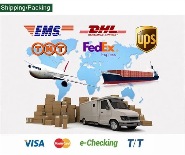 CAS:816-94-4 | 1,2-Distearoyl-sn-glycero-3-phosphocholine
