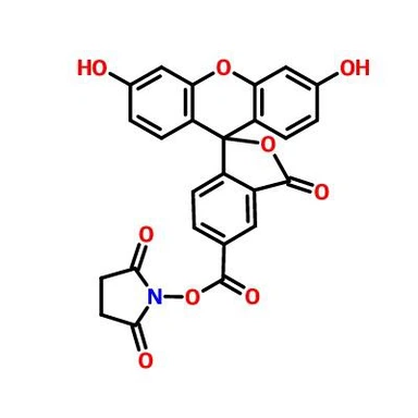 CAS:92557-80-7|5-Ester N-sukcynoimidylowy FAM