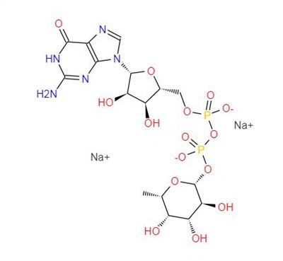 CAS:15839-70-0丨Guanozyna 5′-difosfo- -L-fukoza