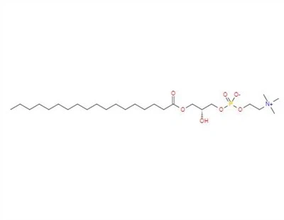 CAS:19420-57-6丨1-stearoilo-sn-glicero-3-fosfocholina