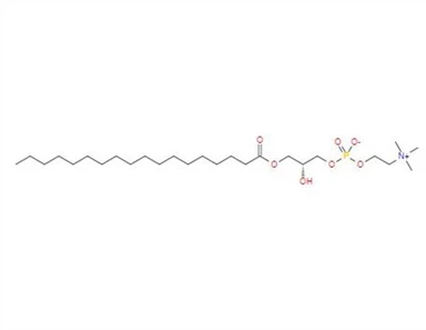 CAS:19420-57-6丨1-stearoilo-sn-glicero-3-fosfocholina